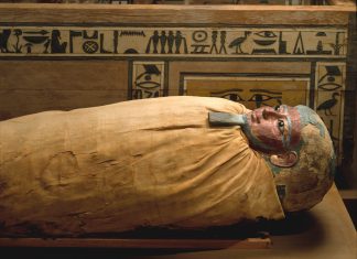 Metodička vježba: Egipat i mumificiranje naranče