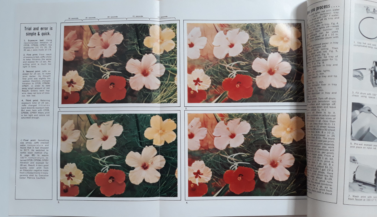 Slika 3 - Časopis Modern Photography, lipanj 1964., preklopna stranica s četiri koloristički neznatno različite inačice iste snimke sedam cvjetova hibiscusa