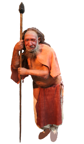 669px-Comparison_of_Neanderthal_and_Homo_sapiens_(version_1)