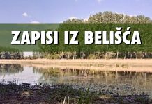Zapisi iz Belišća: Povijest okoliša i današnji biseri prirode