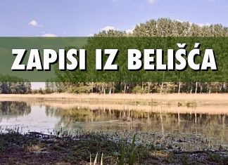 Zapisi iz Belišća: Povijest okoliša i današnji biseri prirode