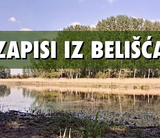 Zapisi iz Belišća: Povijest okoliša i današnji biseri prirode