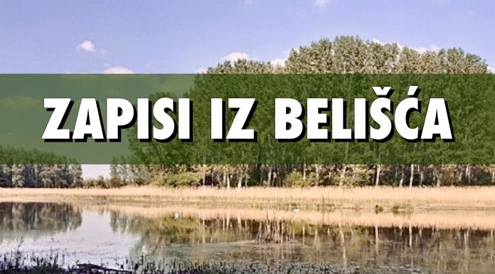 Zapisi iz Belišća: Povijest okoliša i današnji biseri prirode