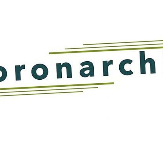 „Sharing is caring!“ – The German coronarchiv project 2020