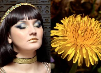 AskHistorians: Zašto smo prestali jesti maslačke i je li Kleopatrina pretjerana ljepota tek narativ njezinih neprijatelja?