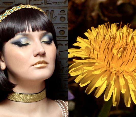 AskHistorians: Zašto smo prestali jesti maslačke i je li Kleopatrina pretjerana ljepota tek narativ njezinih neprijatelja?