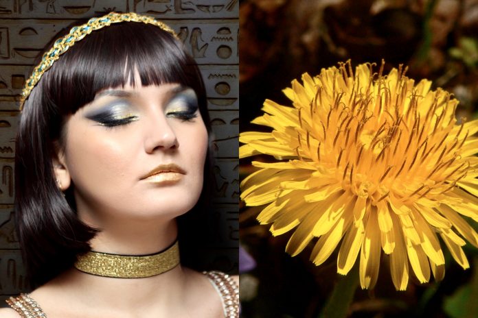 AskHistorians: Zašto smo prestali jesti maslačke i je li Kleopatrina pretjerana ljepota tek narativ njezinih neprijatelja?