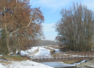 Zapisi iz Slavonije: Božićni običaji, od bora preko poklona do jaslica