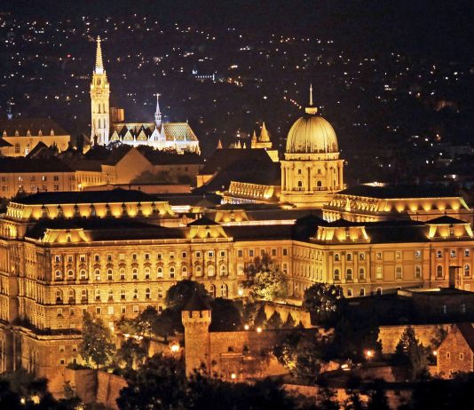 Jezik kao temelj nacije: kratka studija mađarskog slučaja