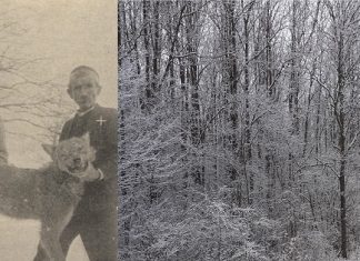 Zapisi iz Slavonije: Nekada obilje faune, a danas diljem Slavonije…