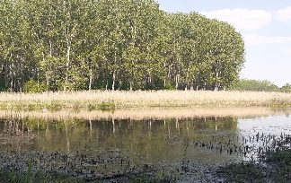 Zapisi iz Slavonije: Između motike i mača – razbojništvo u Slavoniji