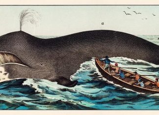 MOBY DICK: bijeli kit, crna egzistencija