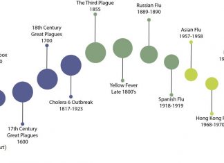 Utjecaj bolesti na povijest – metodička vježba