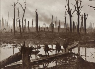 Bombturbacija – ekohistorija Prvog svjetskog rata