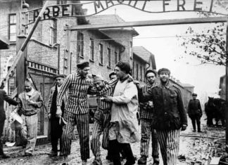 Tama holokausta: preživjeli na kliničkom kauču i u memoarskoj prozi