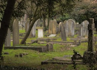 Historiografija o vampirima