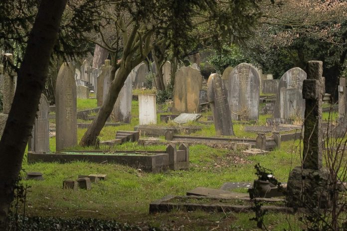 Historiografija o vampirima