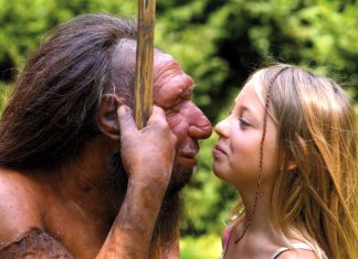 Ima li neandertalske krvi u našim žilama? Photo: © Neanderthal Museum/H. Neumann – za sliku