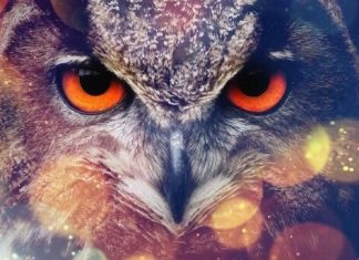 Futurologija kao povijesna disciplina: procjena vjerodostojnosti na temelju primjera